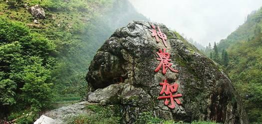 埃利的时装周